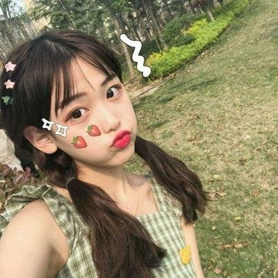 企鹅之岛：福克兰