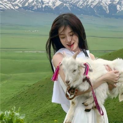 凡妮莎海辛第五季